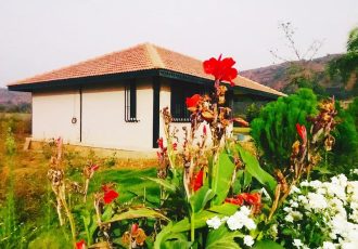 WhatsApp Image 2025-01-10 at 1.47.40 PM