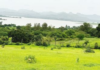 WhatsApp Image 2025-01-10 at 2.14.56 PM