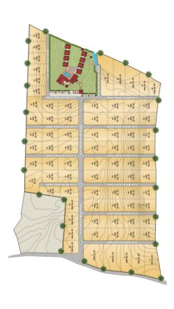 WhatsApp Image 2025-01-15 at 1.13.17 PM