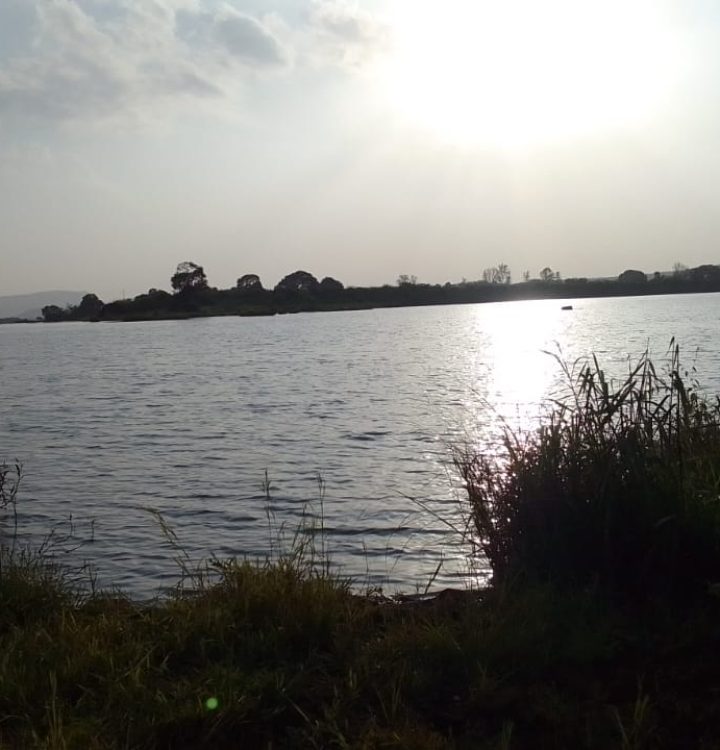 WhatsApp Image 2025-10-31 at 11.49.09