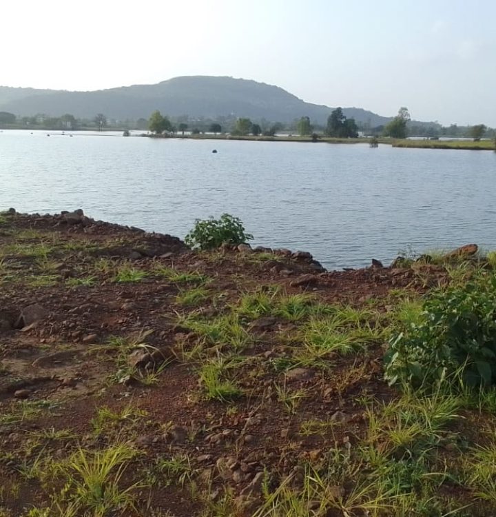 WhatsApp Image 2025-10-31 at 12.02.56